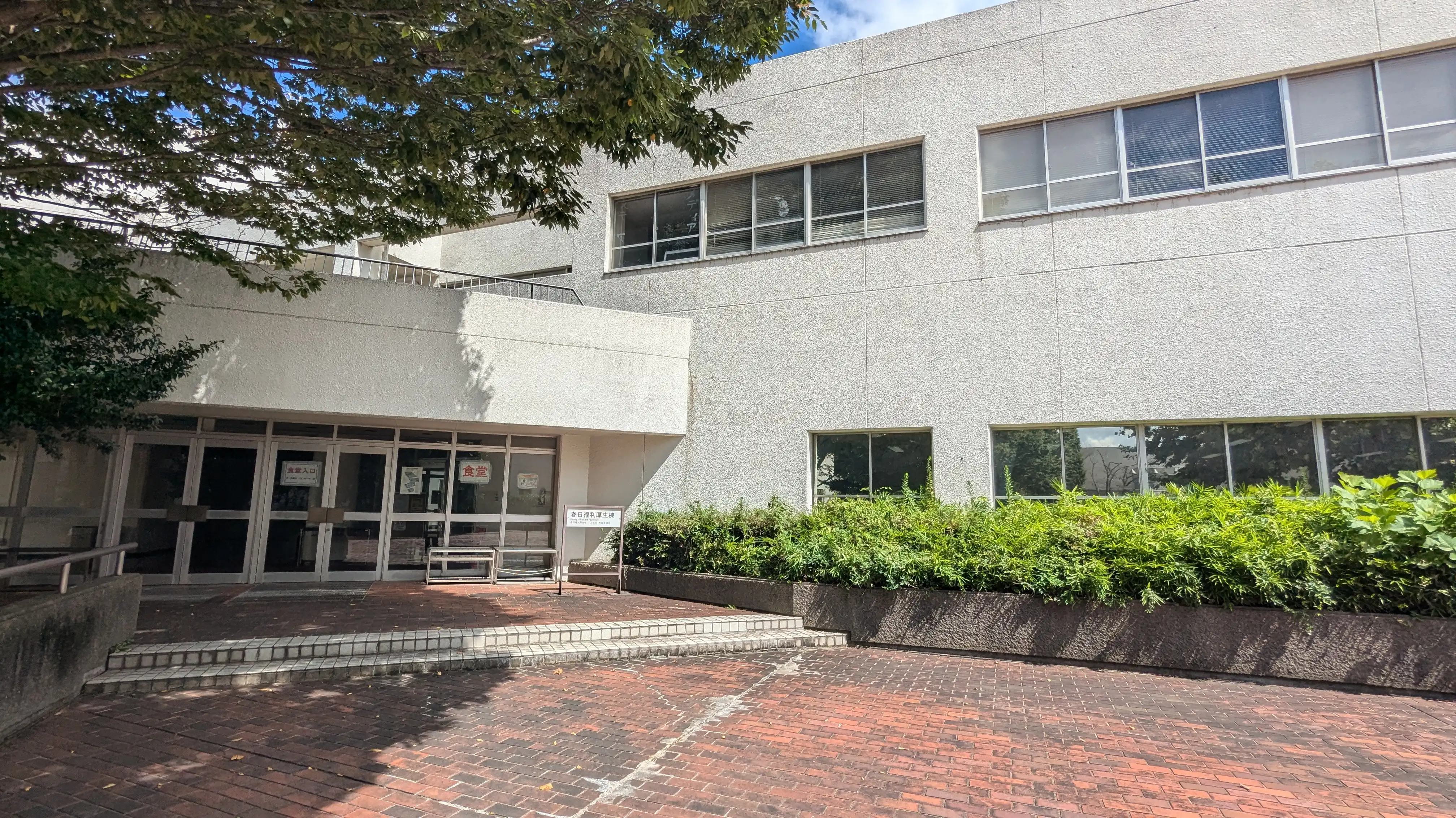 PXL_20240905_035225122.jpg (4.5 MB) 